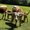 Photo of Marshall M.