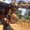Photo of Raghav M.