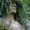 Photo of Alisha W.
