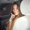 Photo of Kaitlin S.