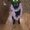 Photo of Jakeacles S.