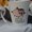 Photo of Cityvox User (caldar…)