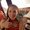 Photo of Emily R.