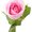 Photo of Rosa S.