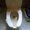 Photo of Viral P.