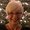 Photo of Sheryal W.