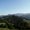 Photo of Dot Z.