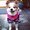 Photo of Sandi S.