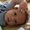 Photo of Roshaun B.