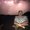 Photo of Ryan P.