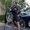 Photo of Azfar Q.