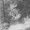 Photo of maz l.