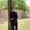 Photo of Raul Luna Jr. J.