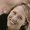 Photo of Jennifer D.
