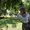 Photo of Qype User (chartr…)