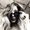 Photo of Renata Z.