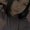 Photo of Anya M.