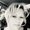 Photo of Misty Y.