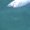 Photo of Qype User (bellar…)