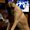 Photo of Becky K.