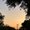 Photo of Anushkaa G.