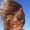 Photo of Liz D.