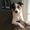 Photo of Barbara B.