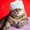 Photo of Kalea H.