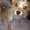 Photo of Johanna N.