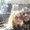 Photo of Jorri N.