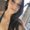 Photo of Stacie S.