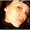 Photo of loreta e.