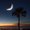 Photo of Michaelene R.