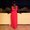 Photo of Diva V.