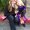 Photo of Heather B.