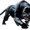 Photo of Panther U.