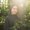 Photo of Susanah N.