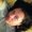 Photo of Nicole S.