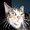 Photo of JoAnn S.