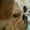 Photo of Lyndia A.