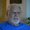 Photo of Edward M.