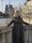 Photo of Denise A.