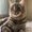 Photo of Bing T.