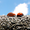 Photo of Qype User (krokoq…)