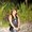 Photo of Guamgirl L.
