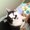 Photo of Alisha J.