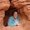 Photo of Nancy M.