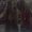 Photo of Sam H.