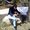 Photo of Chris Y.