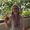 Photo of Cindy S.